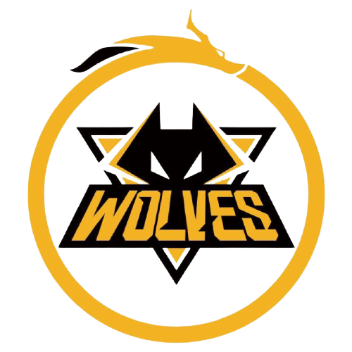 骑士的价值 骑士的价值